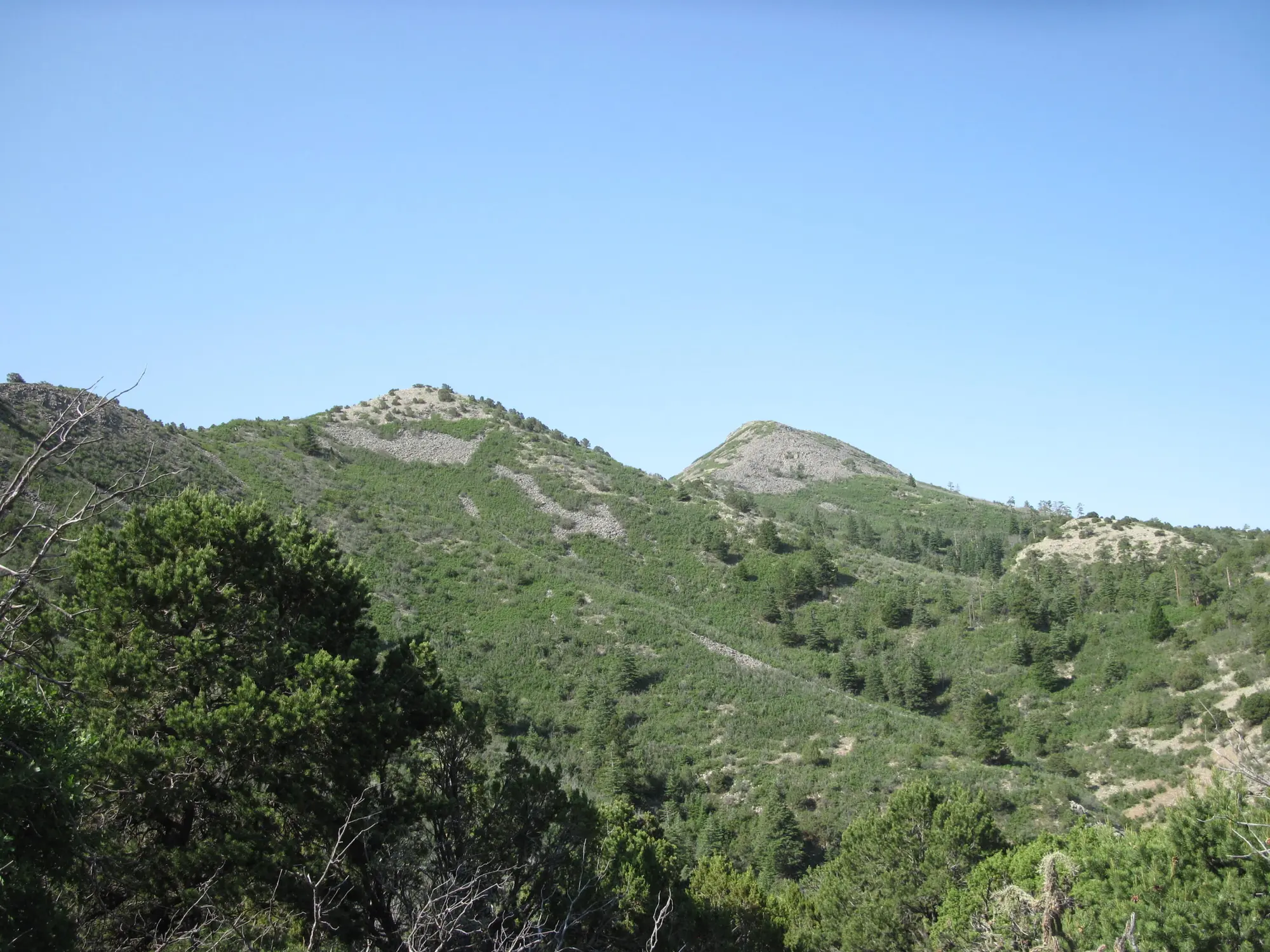 294 Ranchitos Road