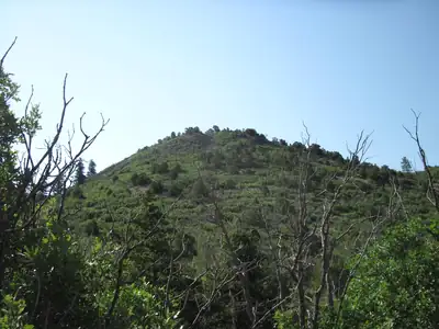 294 Ranchitos Road 