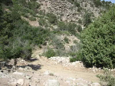 294 Ranchitos Road 