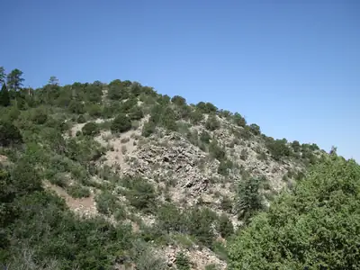 294 Ranchitos Road 