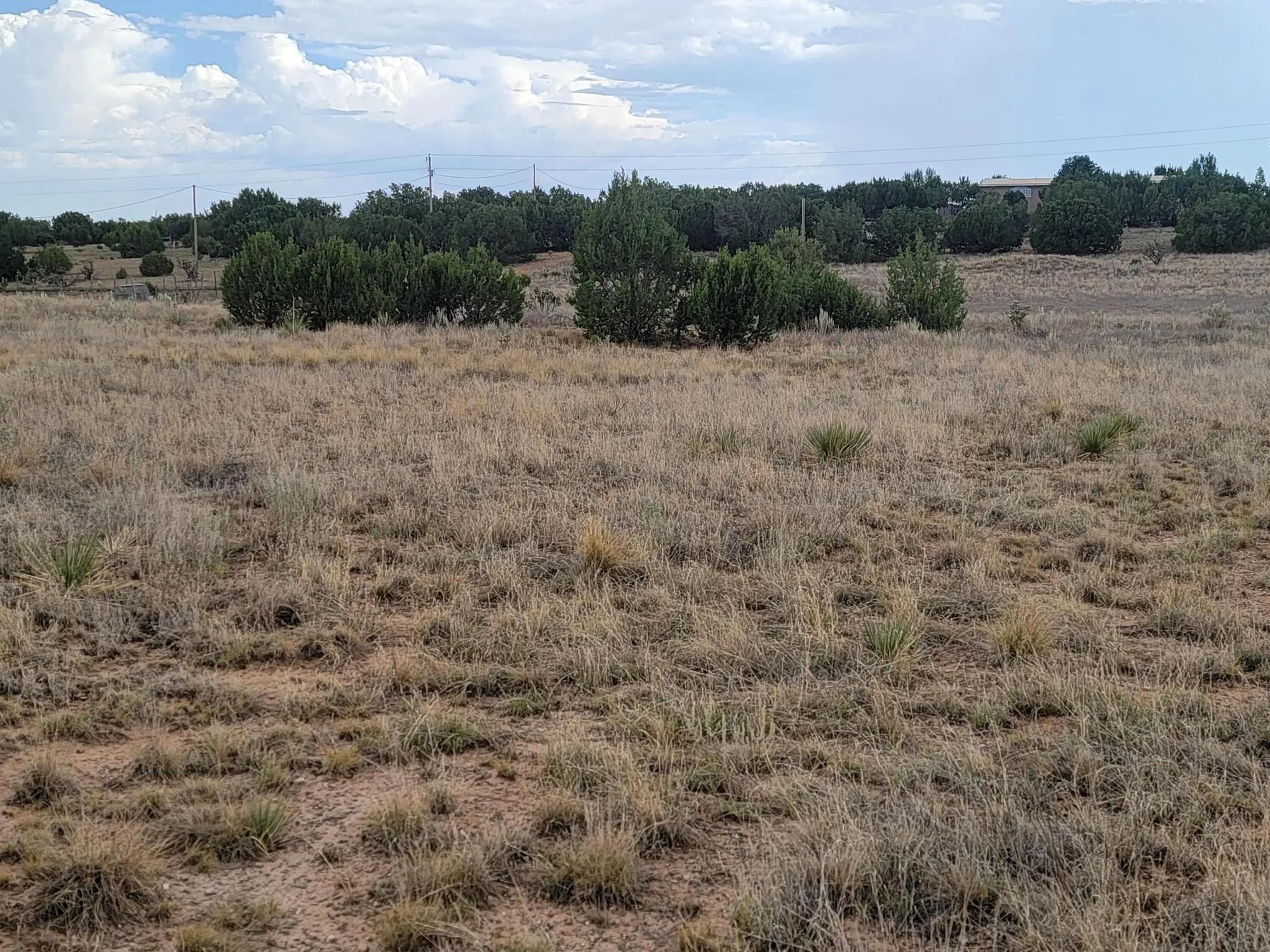 3332 Martinez Road, Moriarty, NM 87035