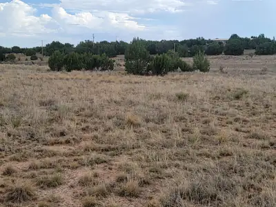 3332 Martinez Road, Moriarty