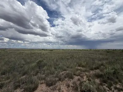 lot 39 Morgan Street, Moriarty
