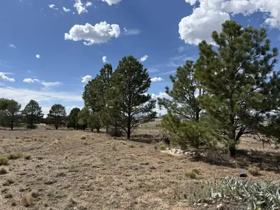 10 Gloria Lane 