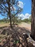 3 Deer Run Trail