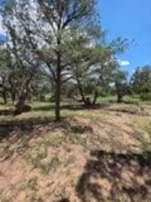 3 Deer Run Trail 