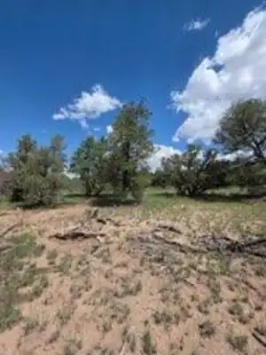 3 Deer Run Trail 