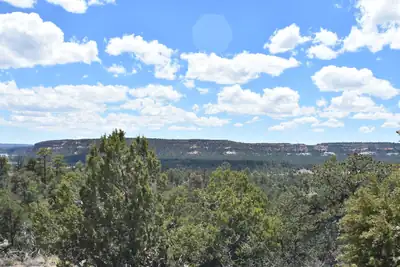 Lot 20 Sunflower Drive, Ramah, NM 87321 