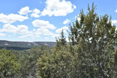 Lot 20 Sunflower Drive, Ramah, NM 87321 