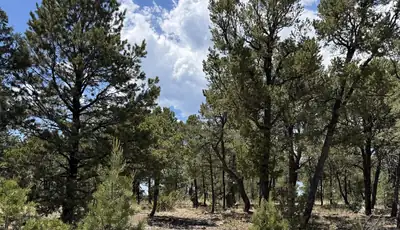 7 Dancing Hawk Drive, Pecos 