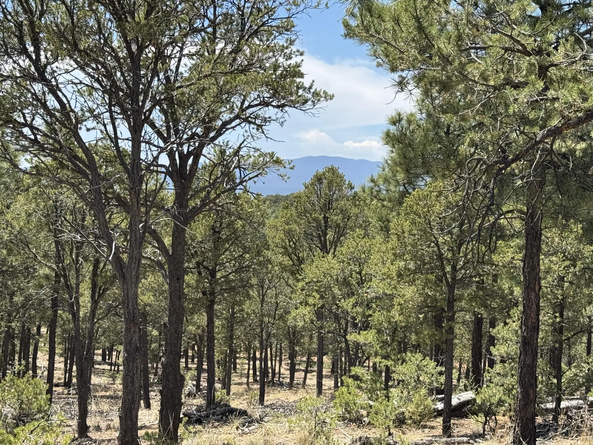 Lot 20 Dancing Hawk Drive