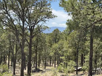Lot 20 Dancing Hawk Drive, Pecos 