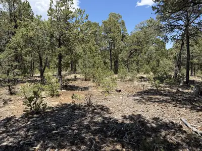 Lot 20 Dancing Hawk Drive 