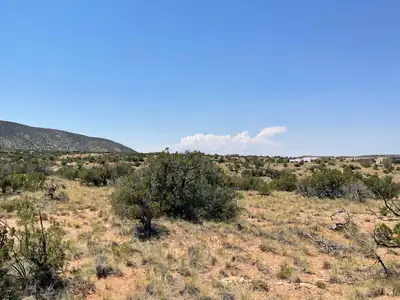 239 Moonlight Ridge Road Lot 101 