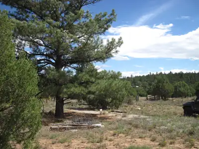 403 Juan Tomas Road, Tijeras 
