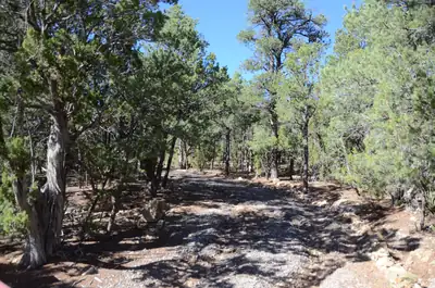 109 Via Sedillo Road, Tijeras