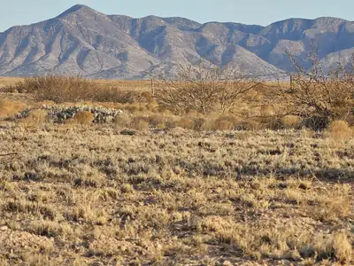 VL RGE Lot 22A 8, Socorro, NM 87801 