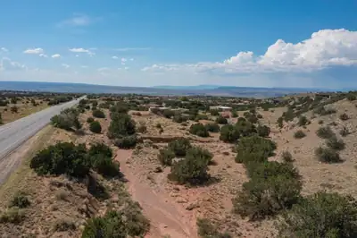 New Mexico 165 
