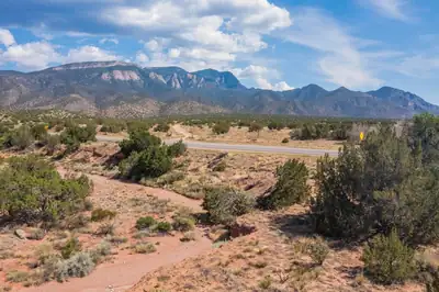 New Mexico 165 