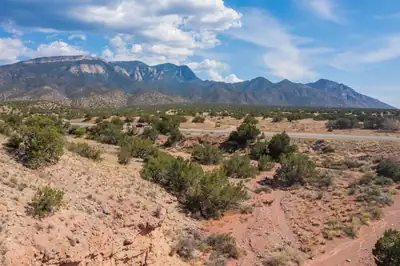 New Mexico 165 