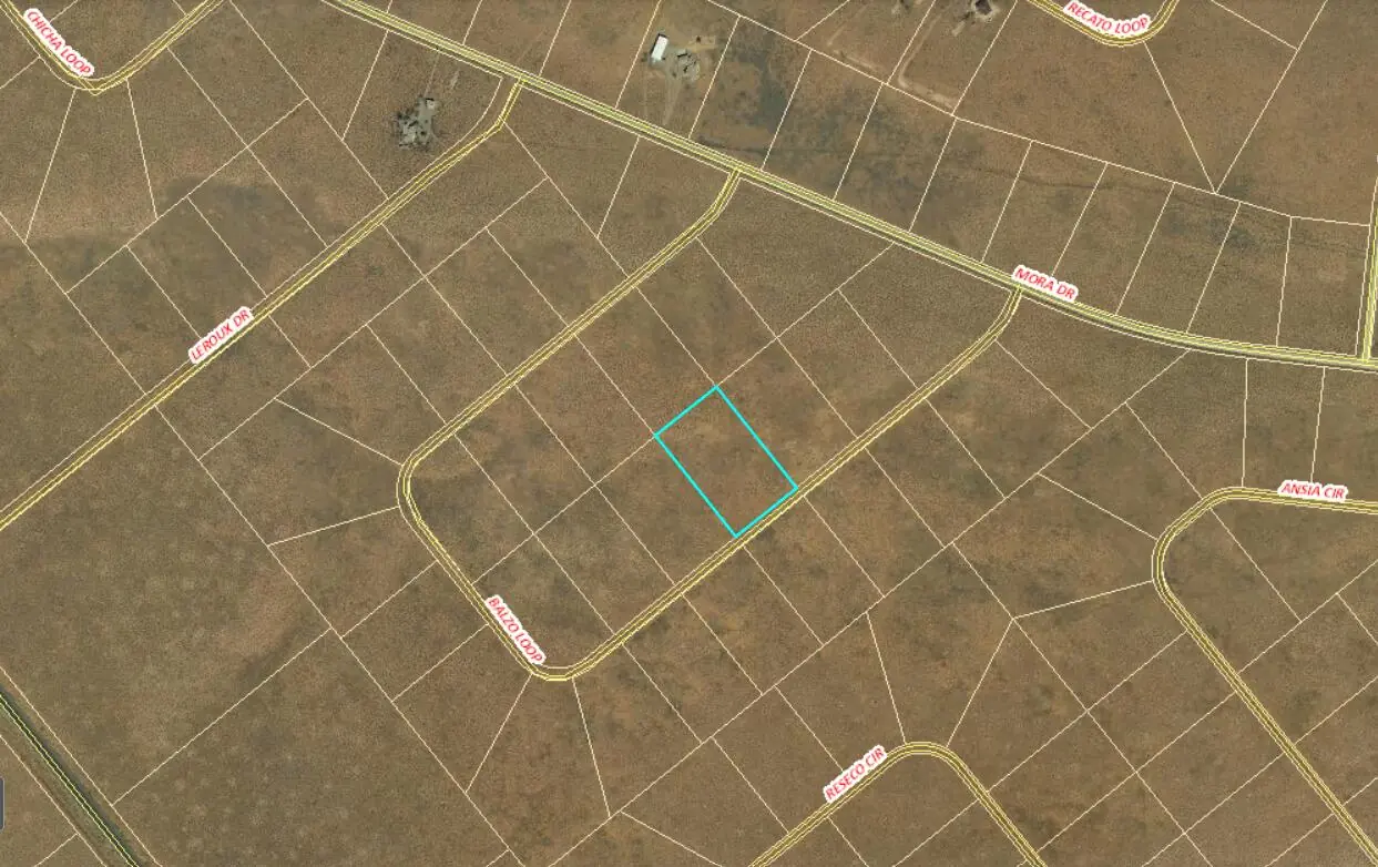 Lot 4 Balazo Loop