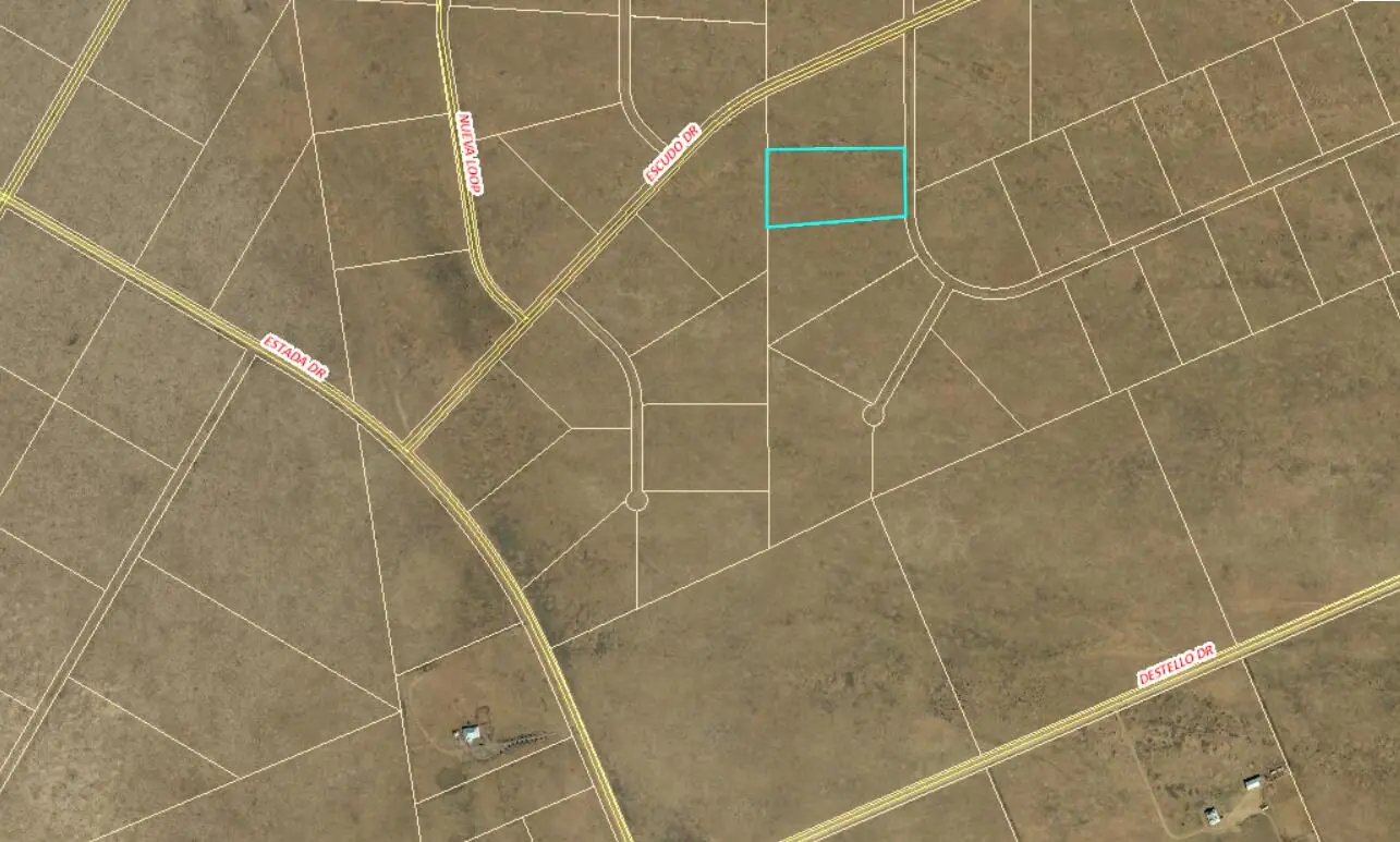 Lot 42 Mango Loop