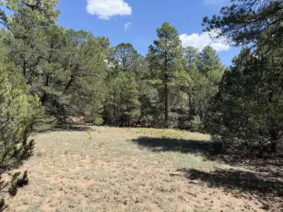 137 Raven Road, Tijeras