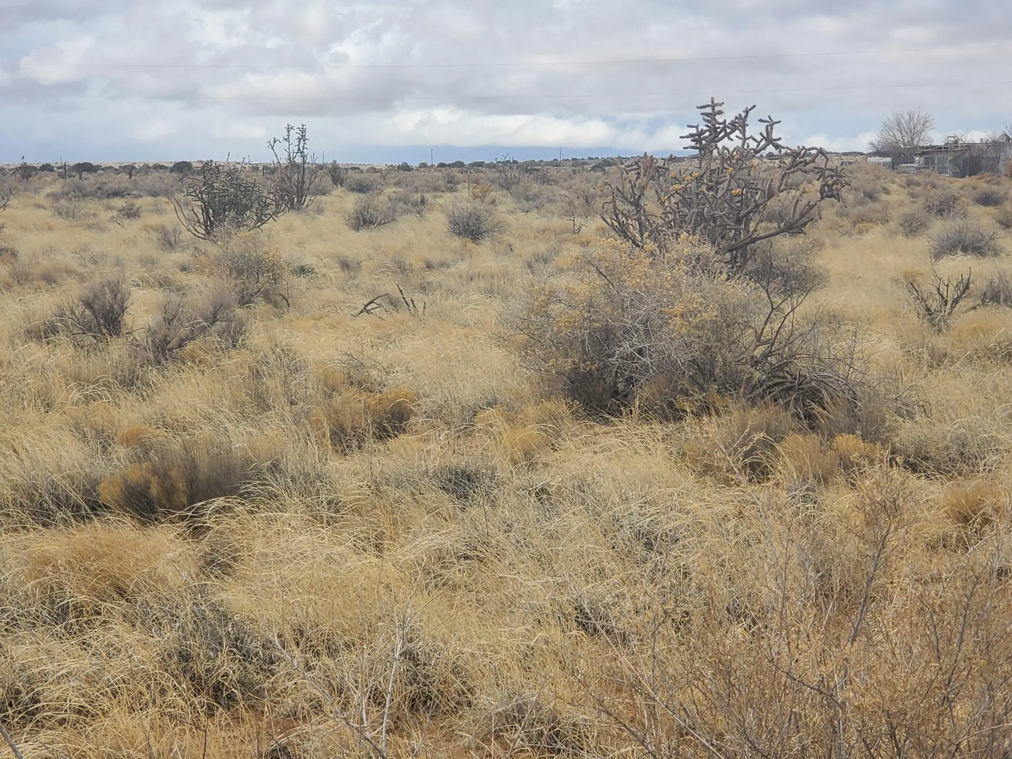 Lot 34 14th Street SW