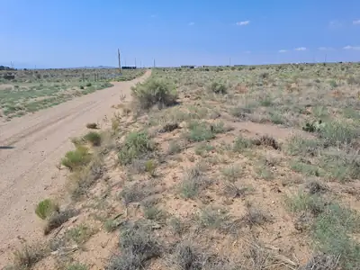 Lot 8 29th Street SW 