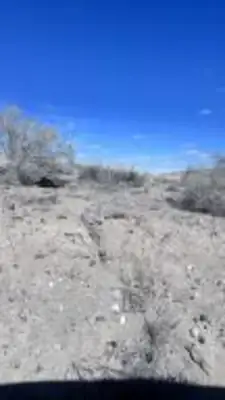 Pajarito Road SW 