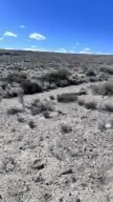 Pajarito Road SW 