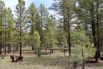 Lot 44 Rhyolite Road, Grants, NM 87020 