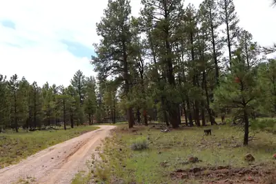 Lot 44 Rhyolite Road, Grants, NM 87020 