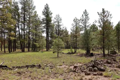 Lot 44 Rhyolite Road, Grants, NM 87020 