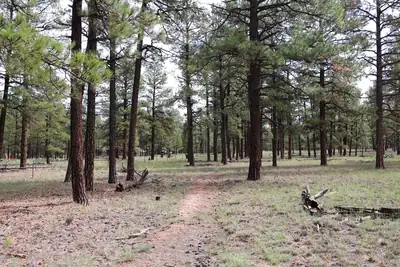 Lot 44 Rhyolite Road, Grants, NM 87020 