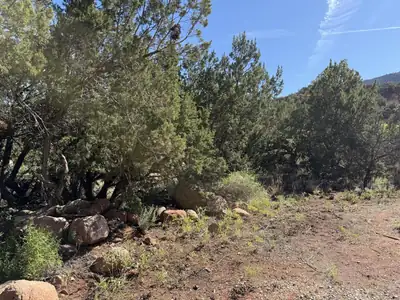 455 San Diego Drive, Jemez Springs, NM 87025 