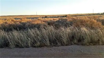 Windward Lot 43 Drive, Edgewood