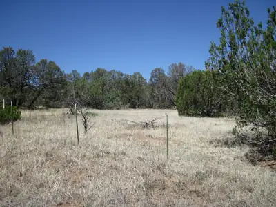 152 Jesse James Road, Edgewood
