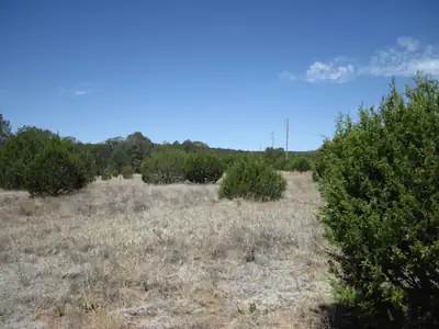 152 Jesse James Road, Edgewood, NM 87015 