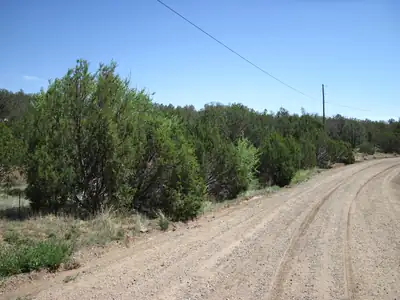 152 Jesse James Road, Edgewood, NM 87015 