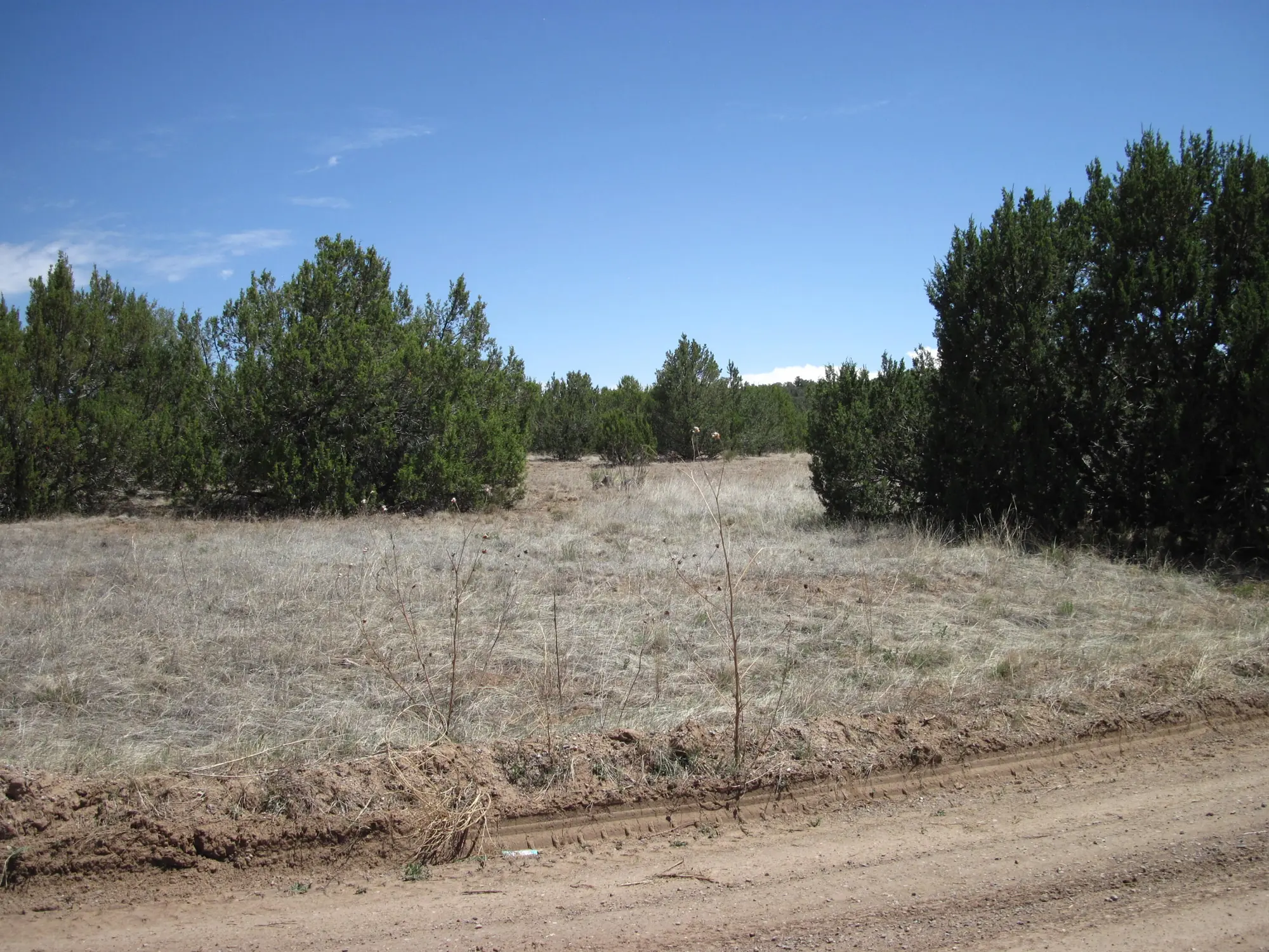 110 Jesse James Road, Edgewood, NM 87015