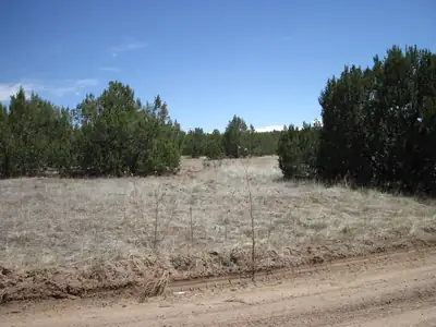 110 Jesse James Road, Edgewood