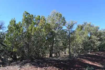 4 Anasazi Court, Sandia Park, NM 87047 