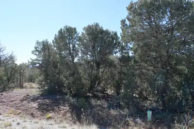 4 Anasazi Court, Sandia Park, NM 87047 