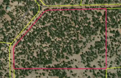 15 Cattle Track Drive, Quemado, NM 87829 