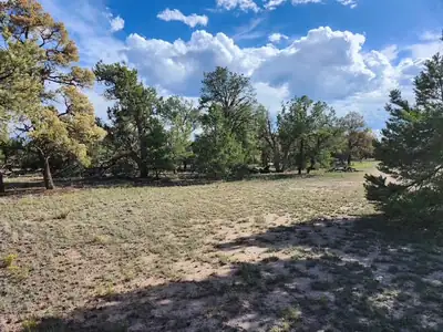 15 Cattle Track Drive, Quemado, NM 87829 