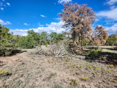 15 Cattle Track Drive, Quemado, NM 87829 
