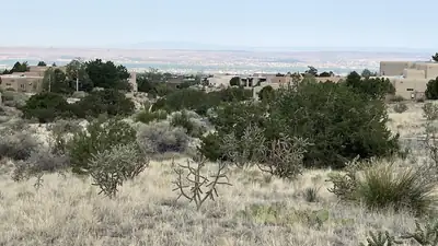 6309 Gambel Oak Court NE, Albuquerque