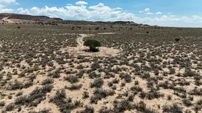 Lopez Lane, Los Lunas, NM 87031 