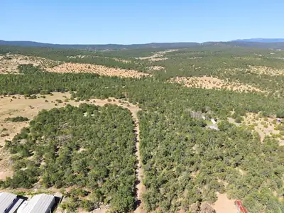 525 Nm 217 